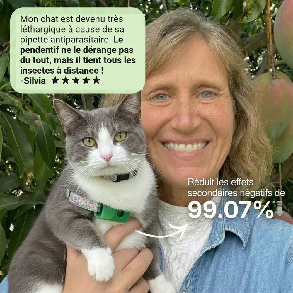 chat_card_hero