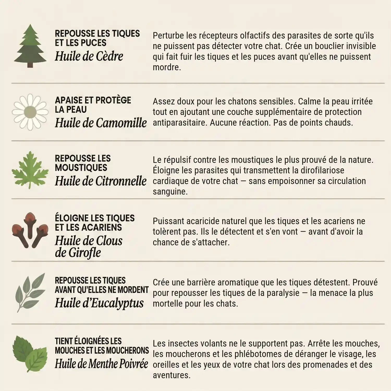 Les six huiles naturelles du pendentif AVERA