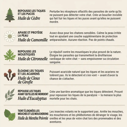 Les six huiles naturelles du pendentif AVERA