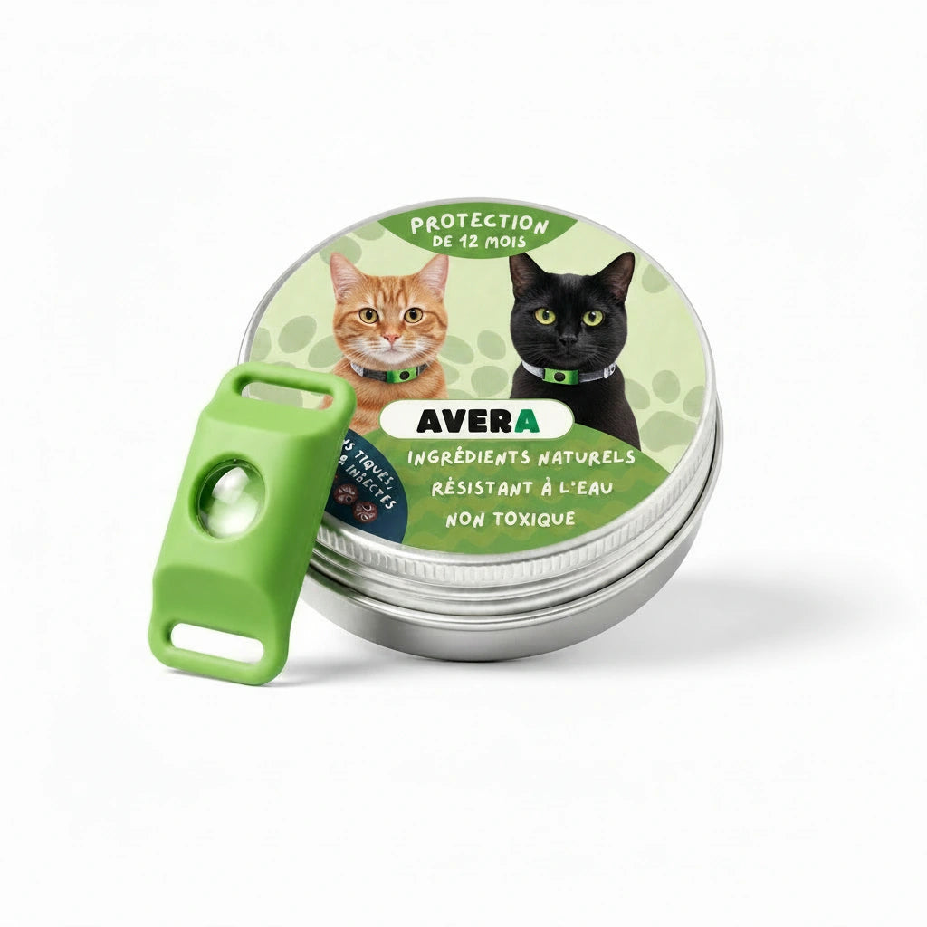 Pendentif AVERA et sa boîte métallique
