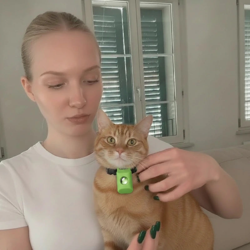 chat_step2