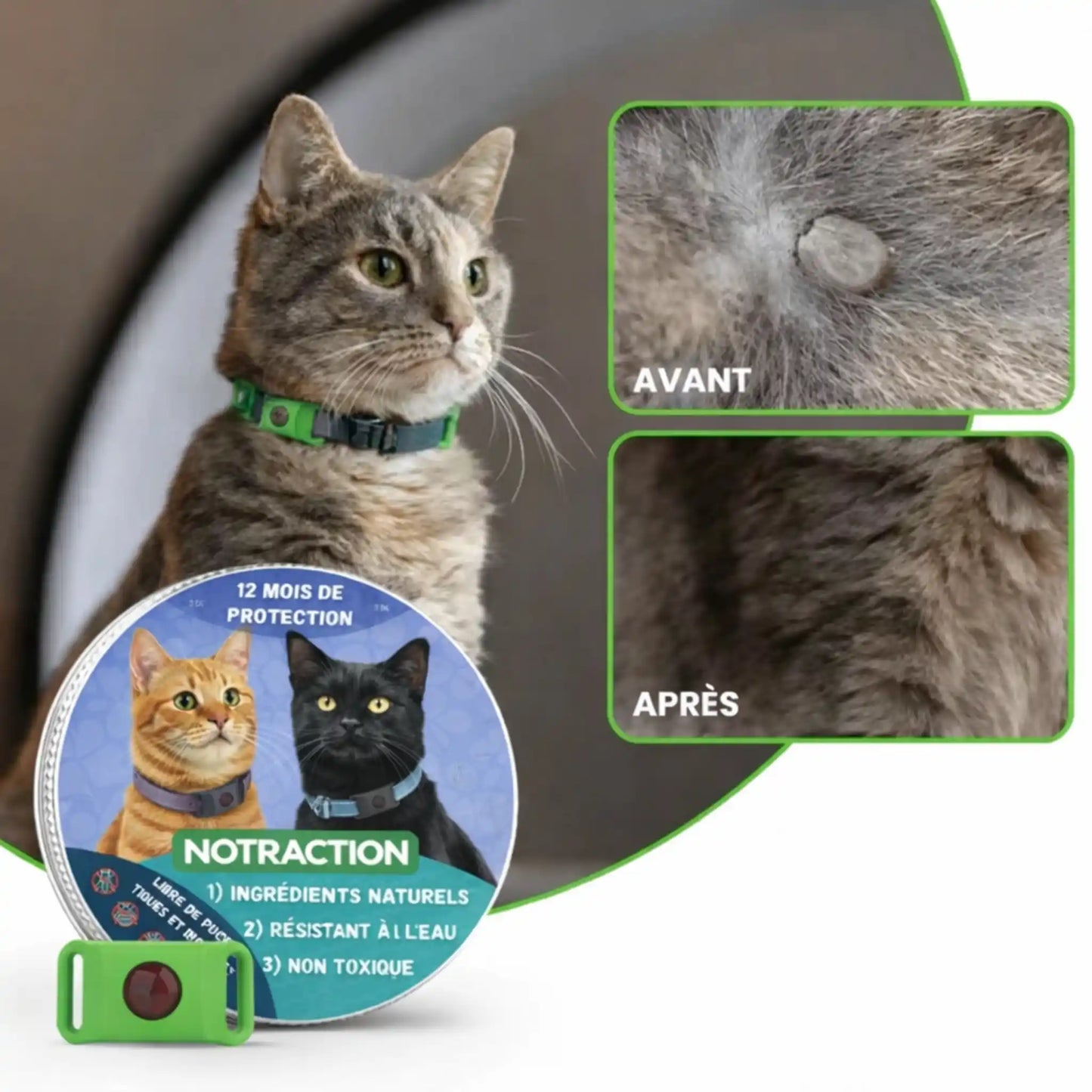 Pendentif Avera | Renouvelez La Protection De Votre Animal