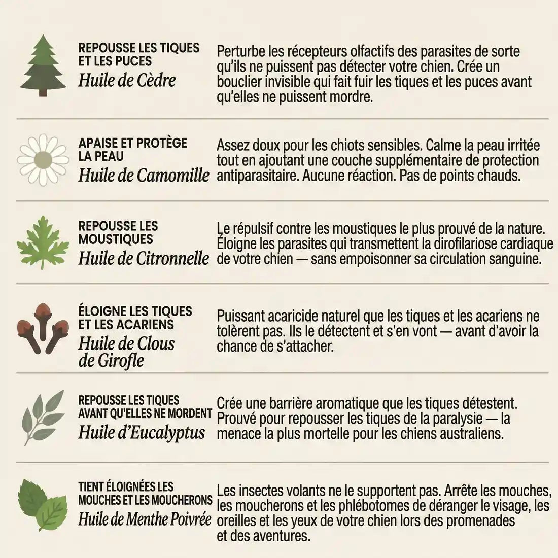 Les six huiles naturelles du pendentif AVERA