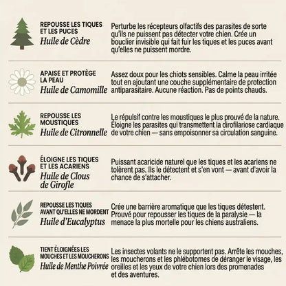 Les six huiles naturelles du pendentif AVERA