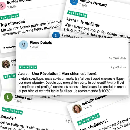 Avis clients vérifiés sur le pendentif AVERA