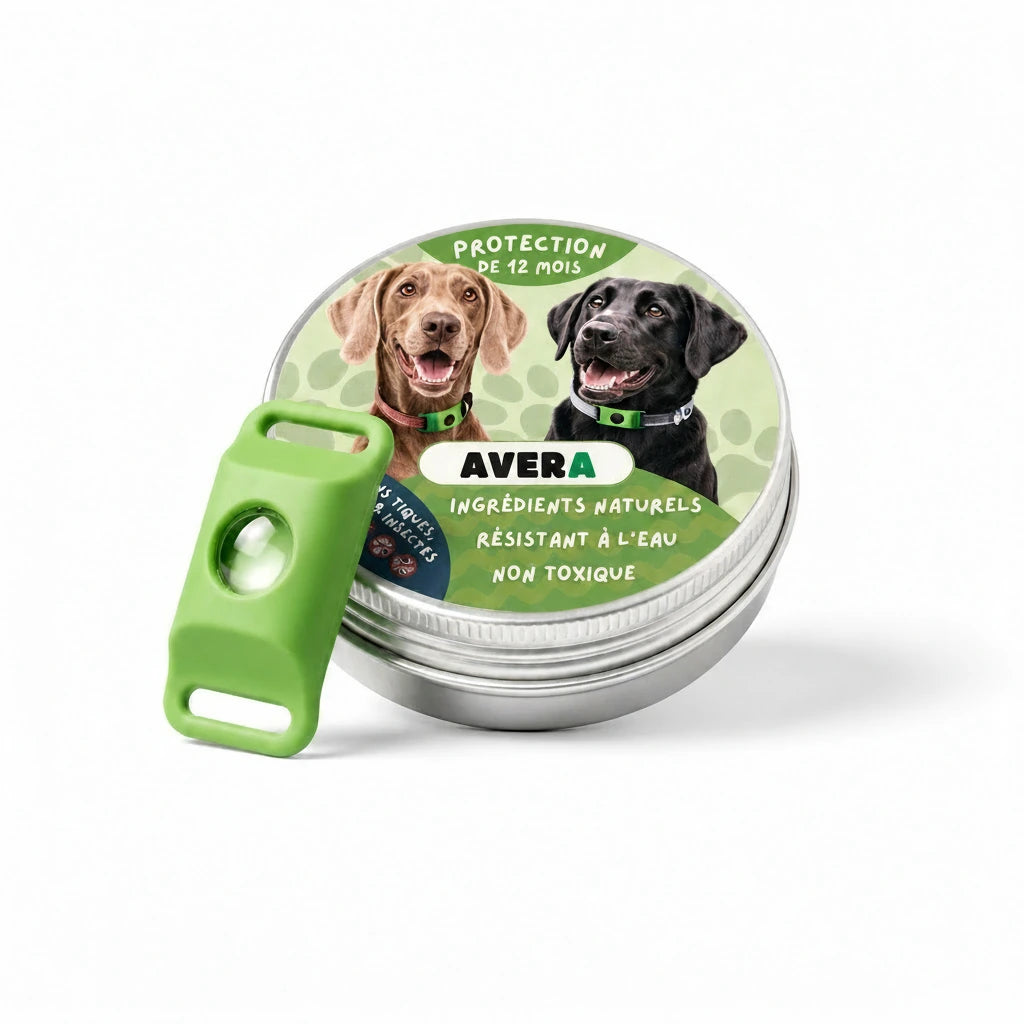 Pendentif AVERA et sa boîte métallique