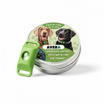 Pendentif AVERA et sa boîte métallique