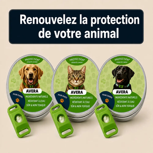 Pendentif Avera | Renouvelez La Protection De Votre Animal